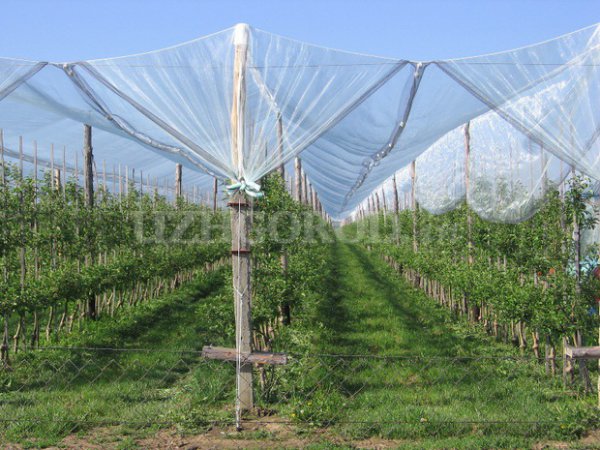 Horticulture and viticulture