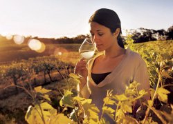 Horticulture and viticulture