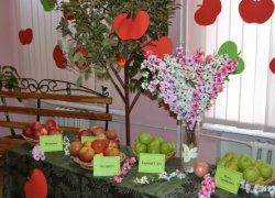 День яблука