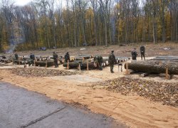 Змагання з електронного обліку лісу