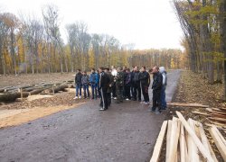 Змагання з електронного обліку лісу