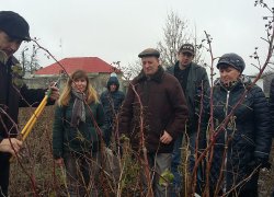 Навчання потенційних учасників обслуговуючих кооперативів з ягідництва та сушіння фруктів