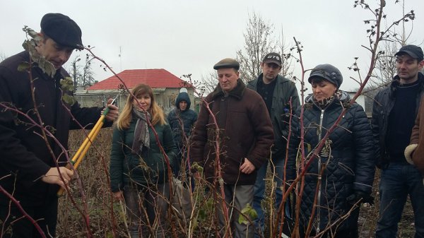 Навчання потенційних учасників обслуговуючих кооперативів з ягідництва та сушіння фруктів