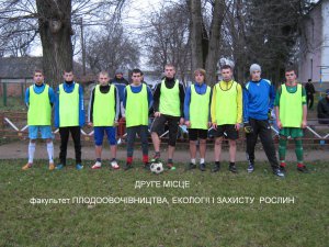 Чемпіонат Уманського НУС з футболу