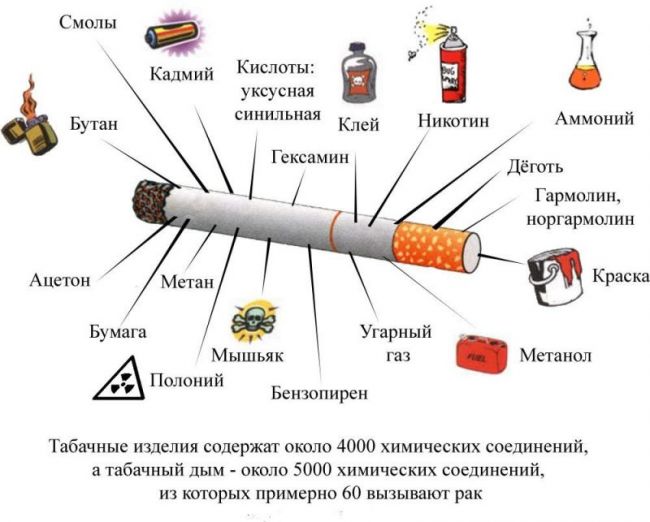 Реферат: Шкідливі звички тютюнопаління